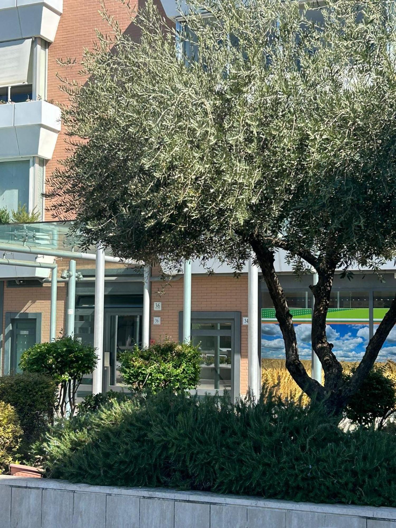 Dina Suite Rome Roma Exterior foto