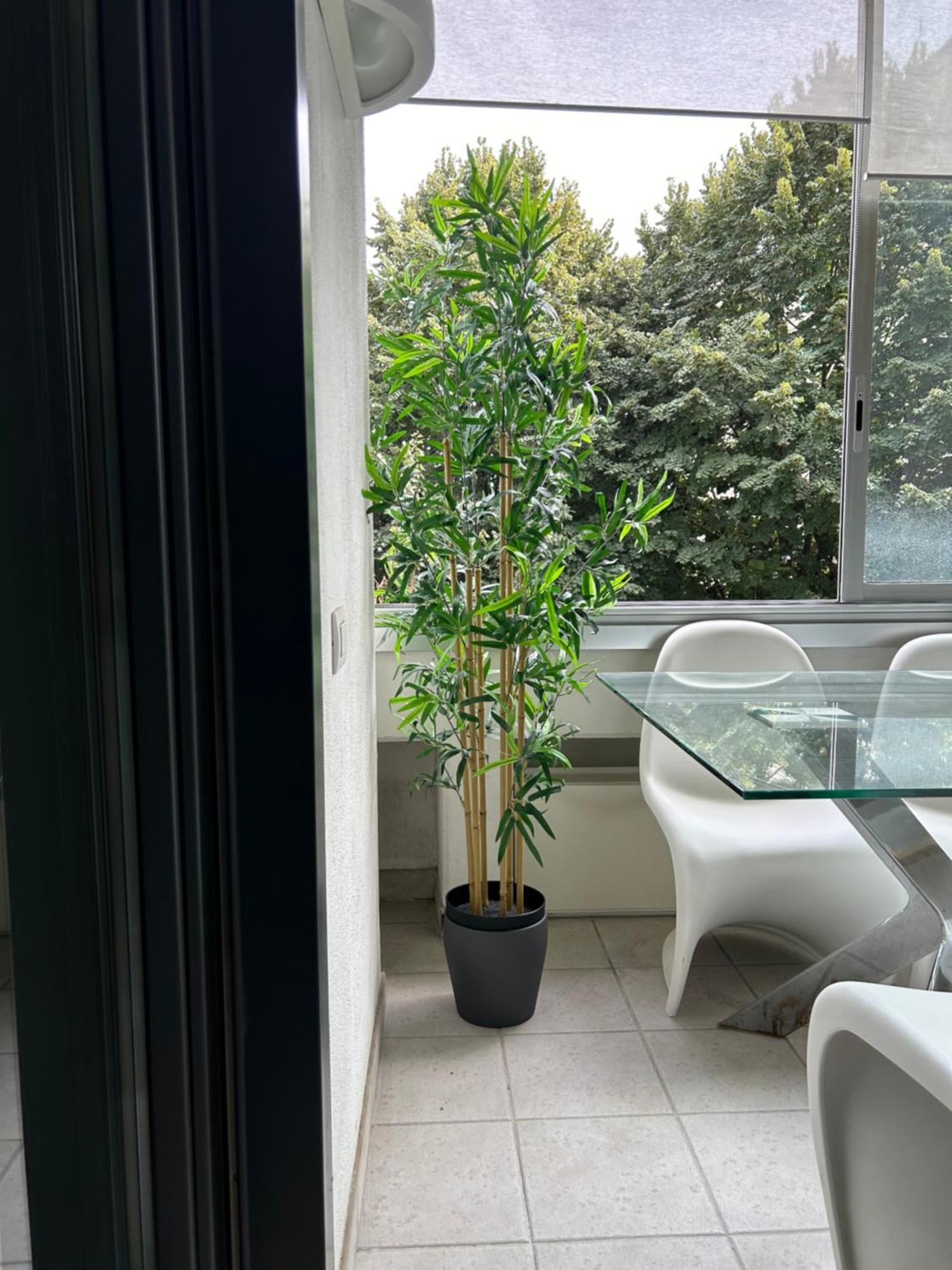 Dina Suite Rome Roma Exterior foto